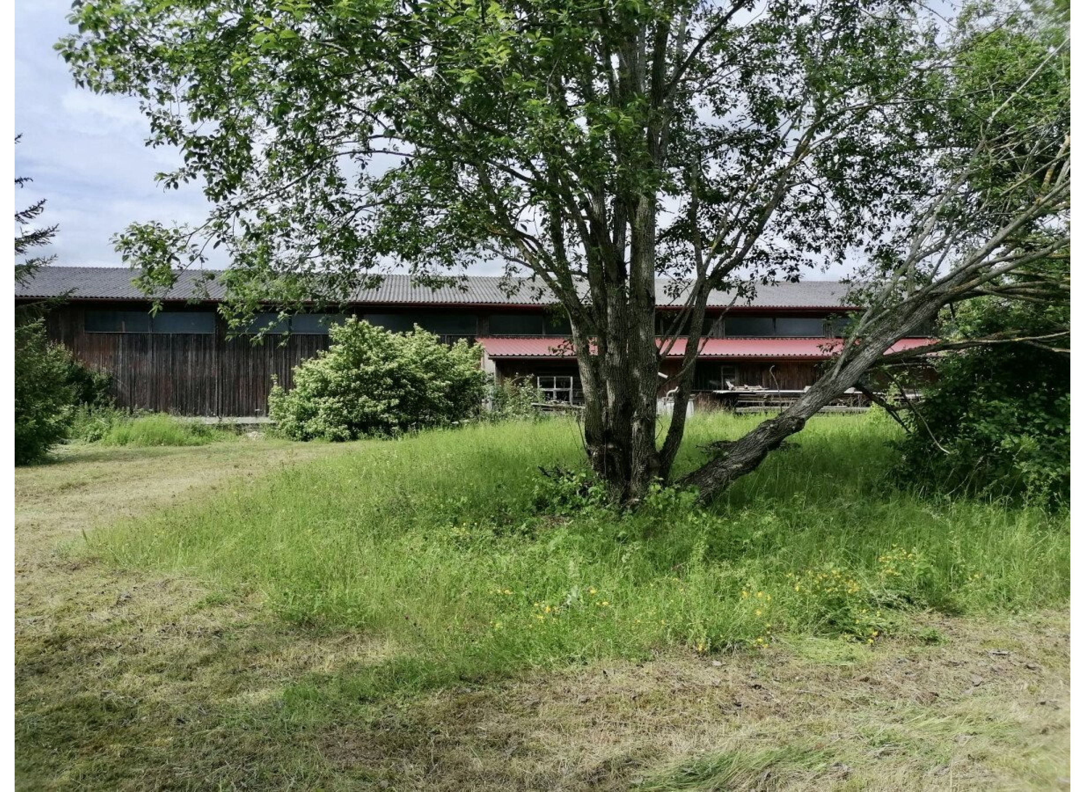 Wiese und Ödland  alte Sägerei — Photo 3