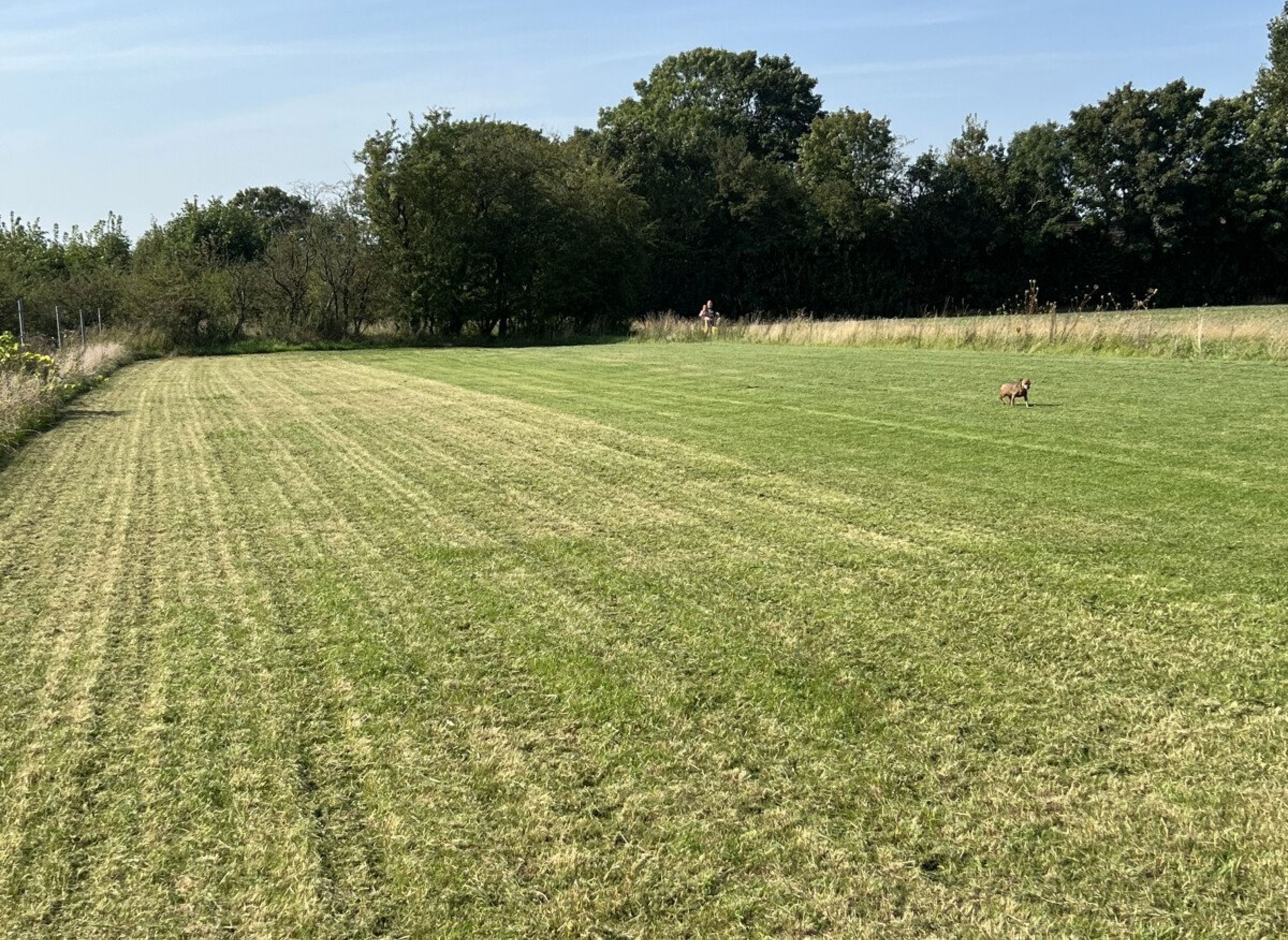 Entspannen am alten  Zollhaus — Photo 2