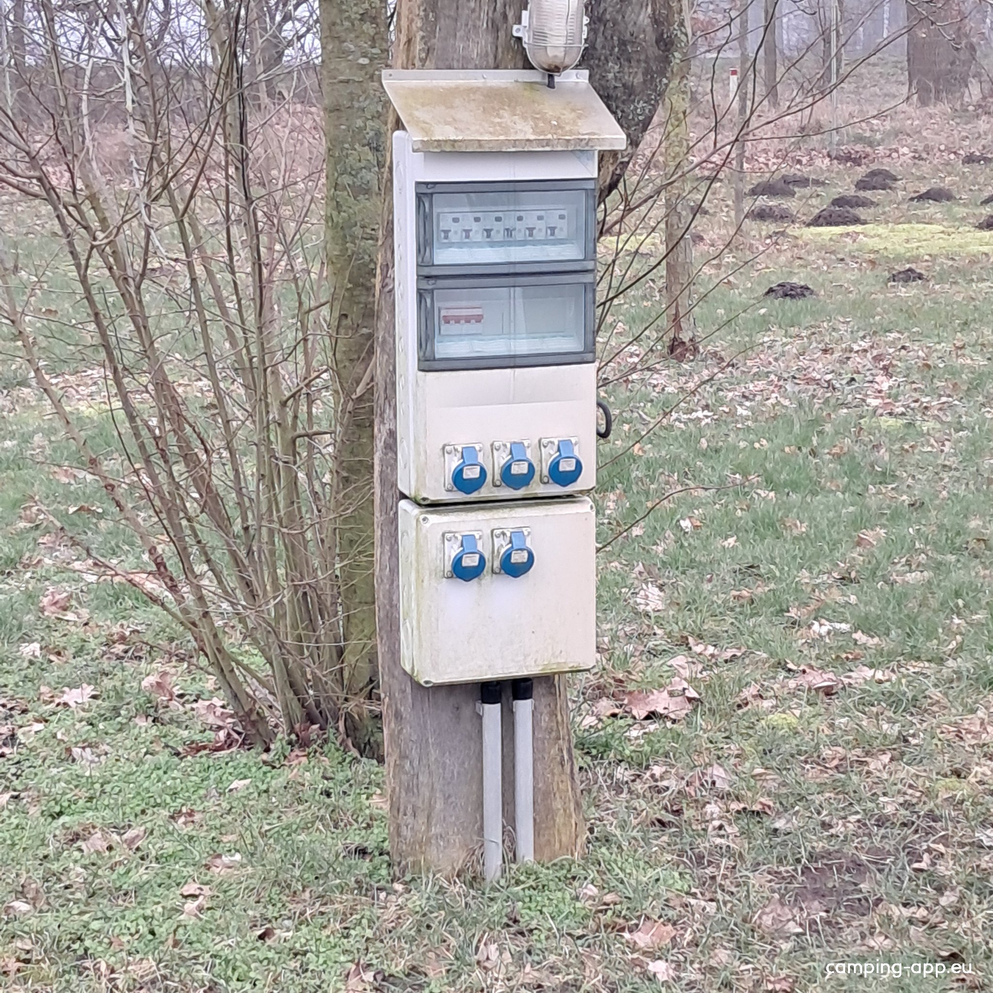 Hof Denissen — Photo 6