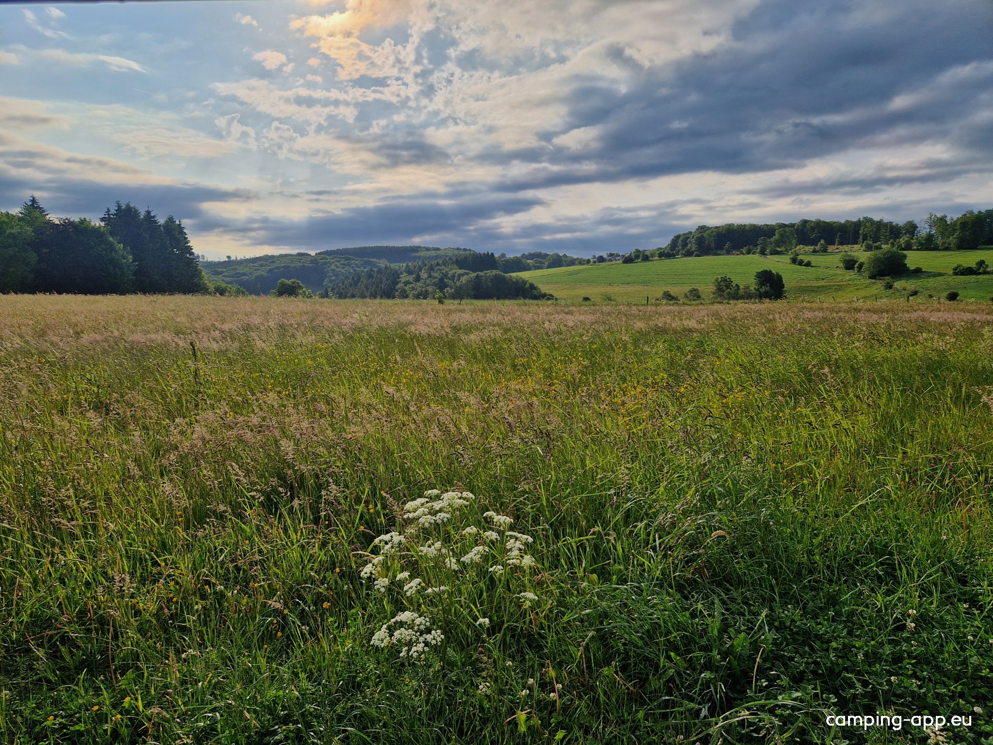 Stellplatz Rärin — Photo 3