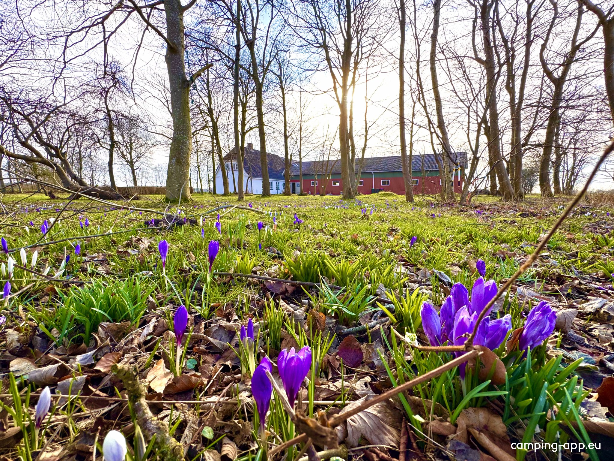 Wenten‘s Home — Photo 4