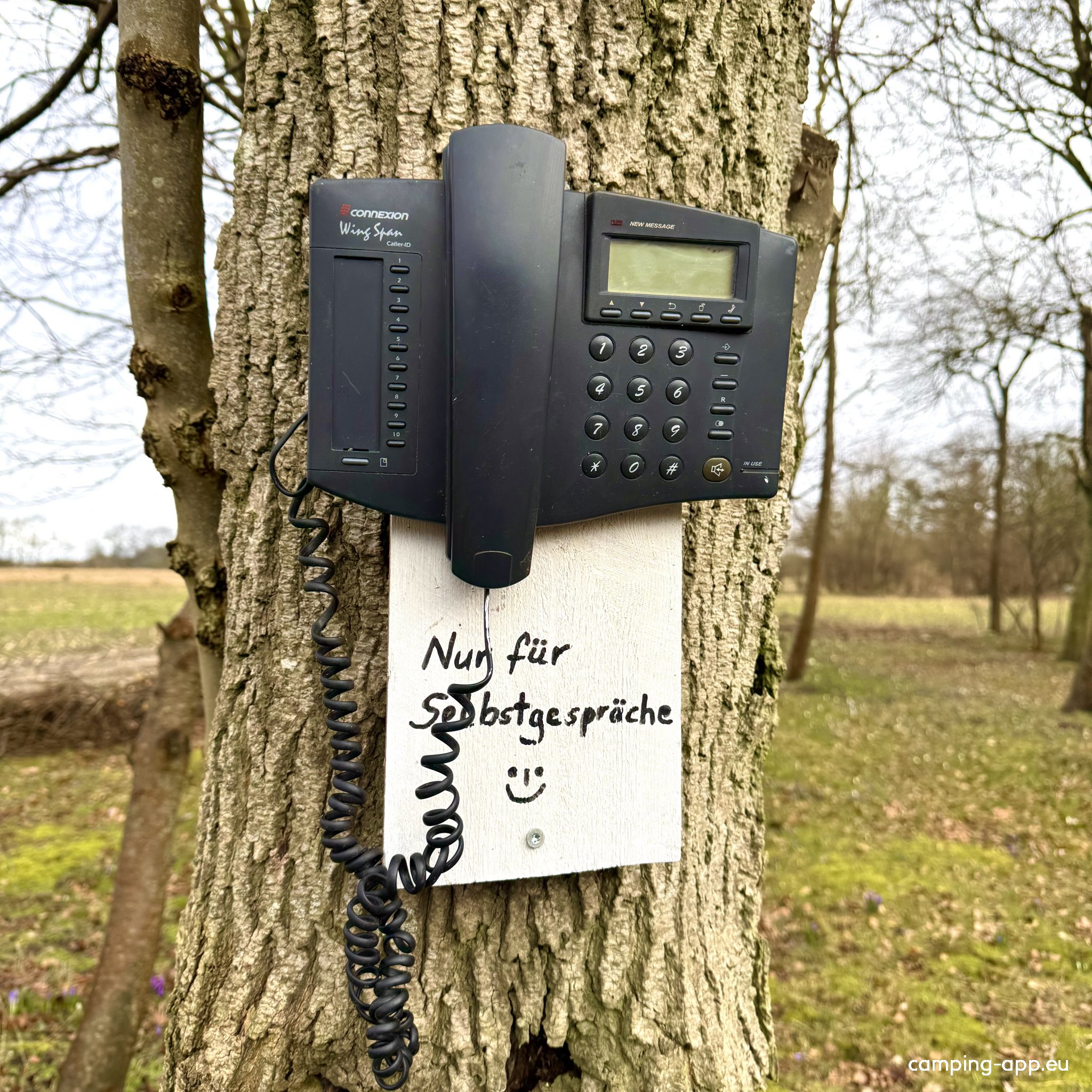 Wenten‘s Home — Photo 6