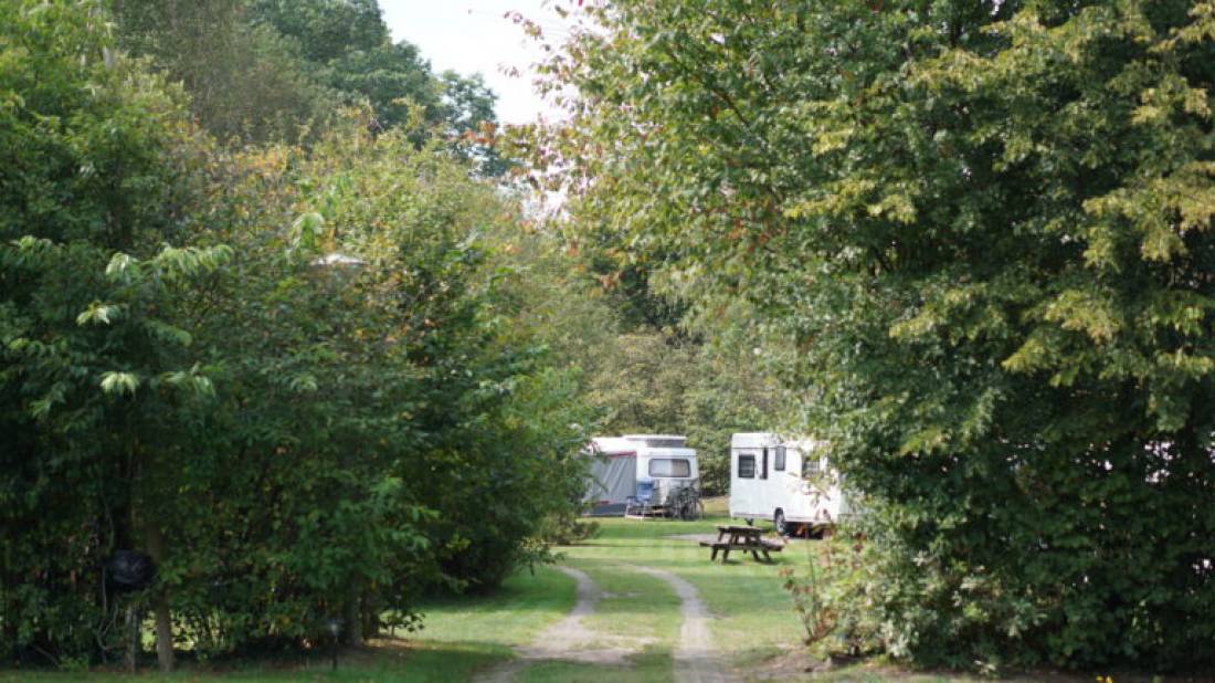 Camping De Olde Bargen — Photo 3