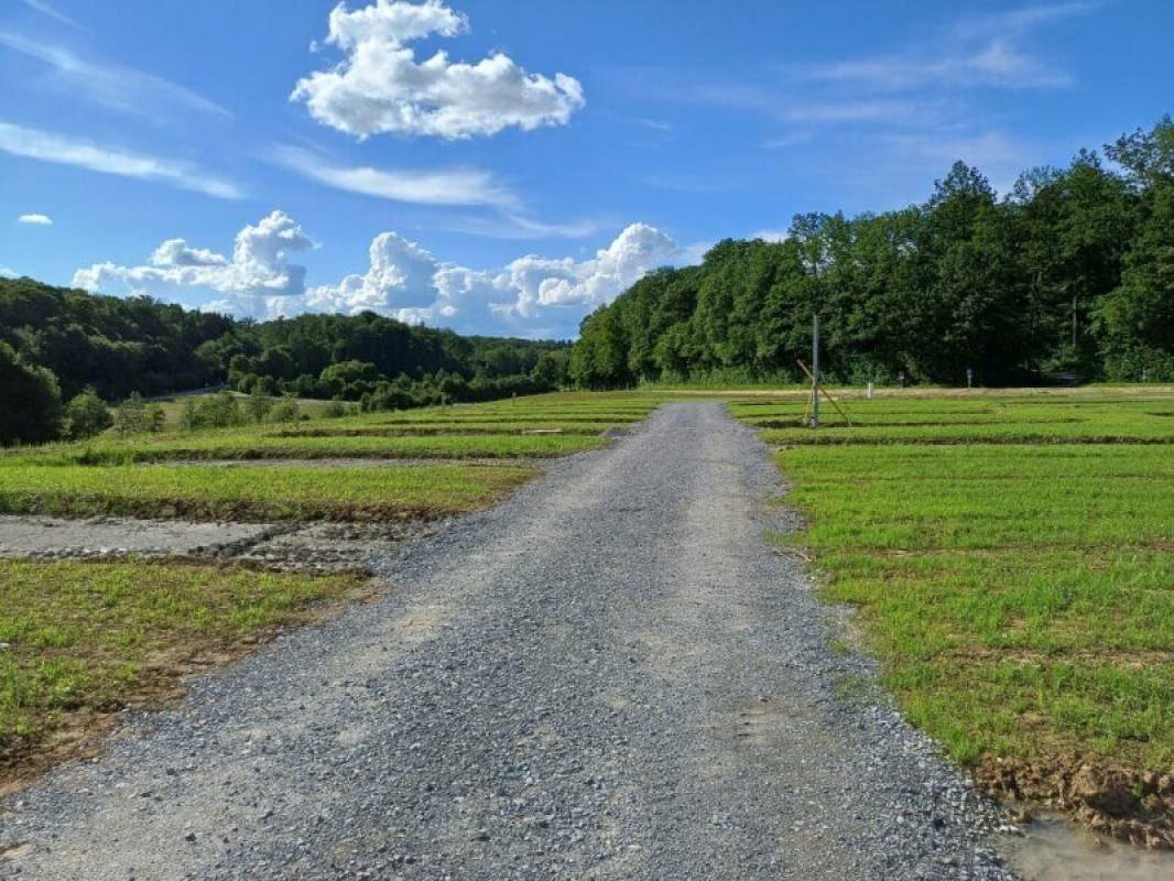 Green Camp Schleierhof — Photo 5