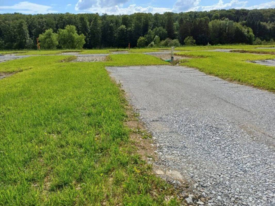 Green Camp Schleierhof — Photo 4