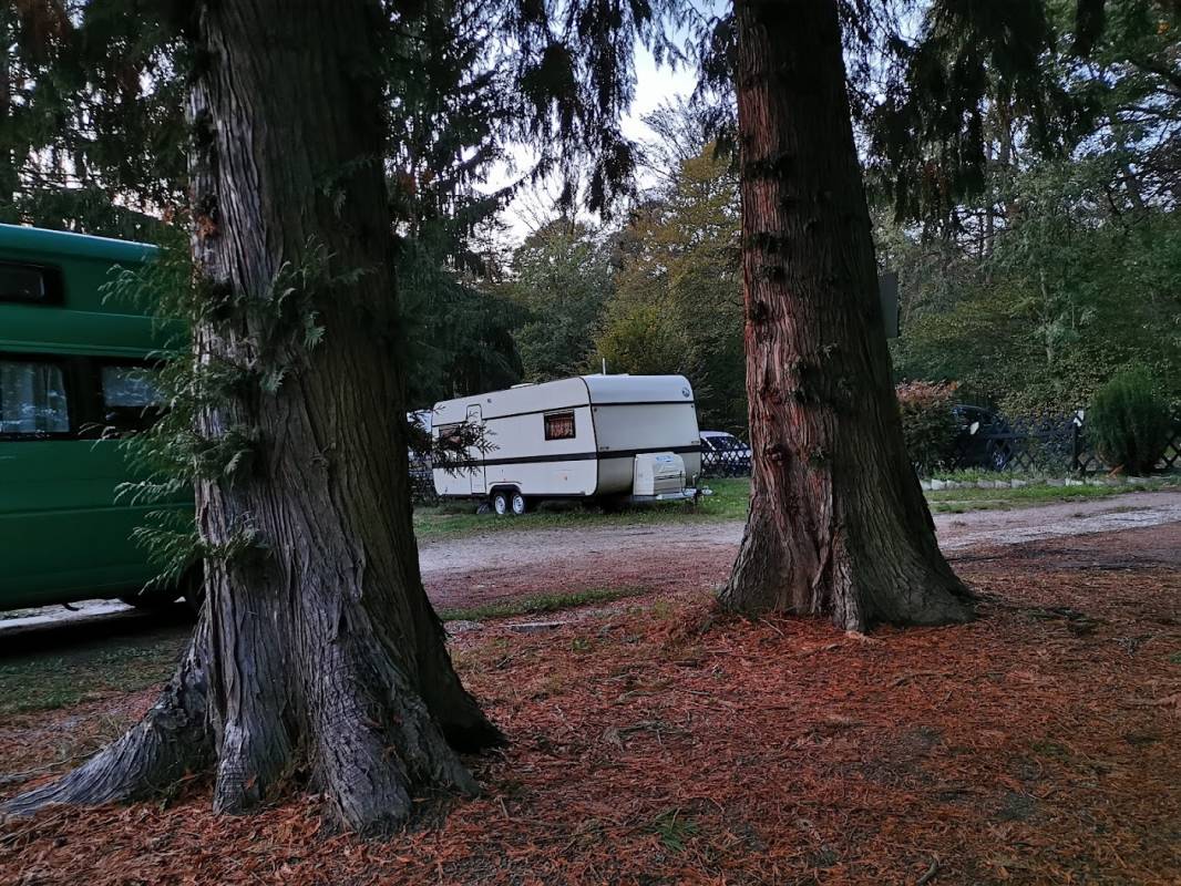 Waldcamping Frankfurt — Photo 2