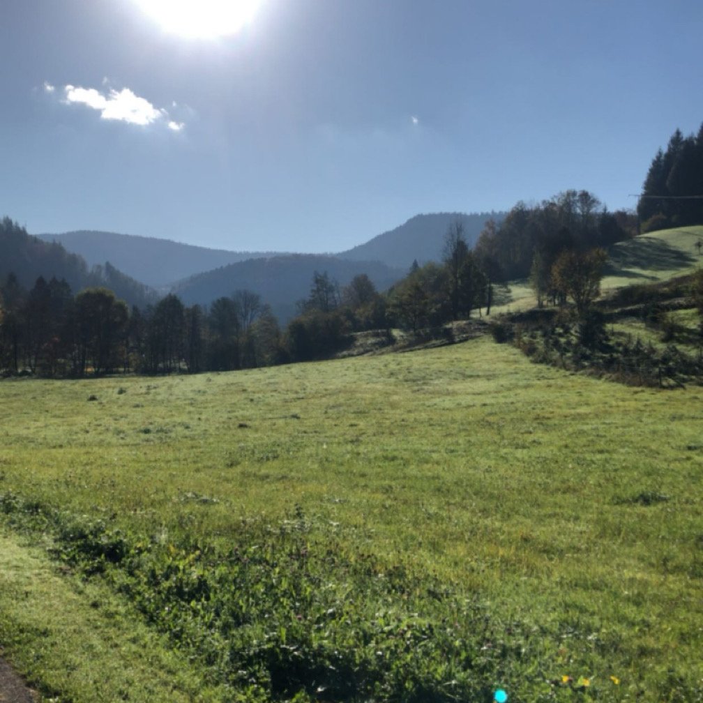 Wohnmobilstellplatz Löchlehof