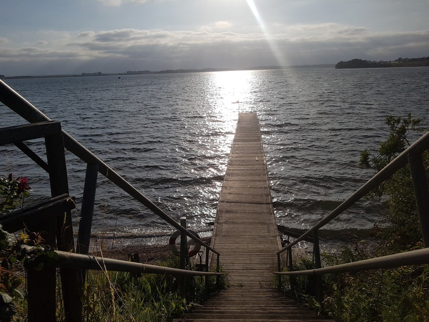 Lillebælt Naturistcamping (FKK) — Photo 4