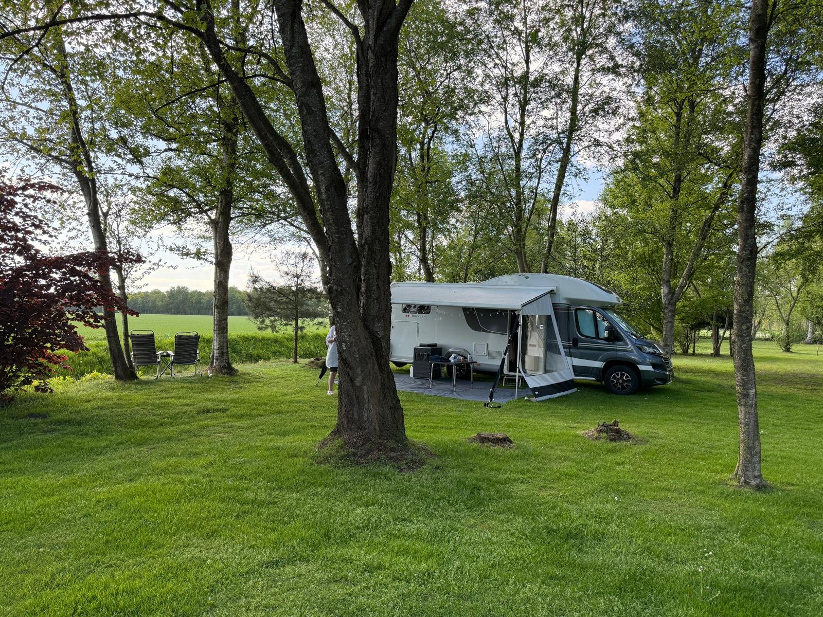 Het Vogelbos — Photo 2