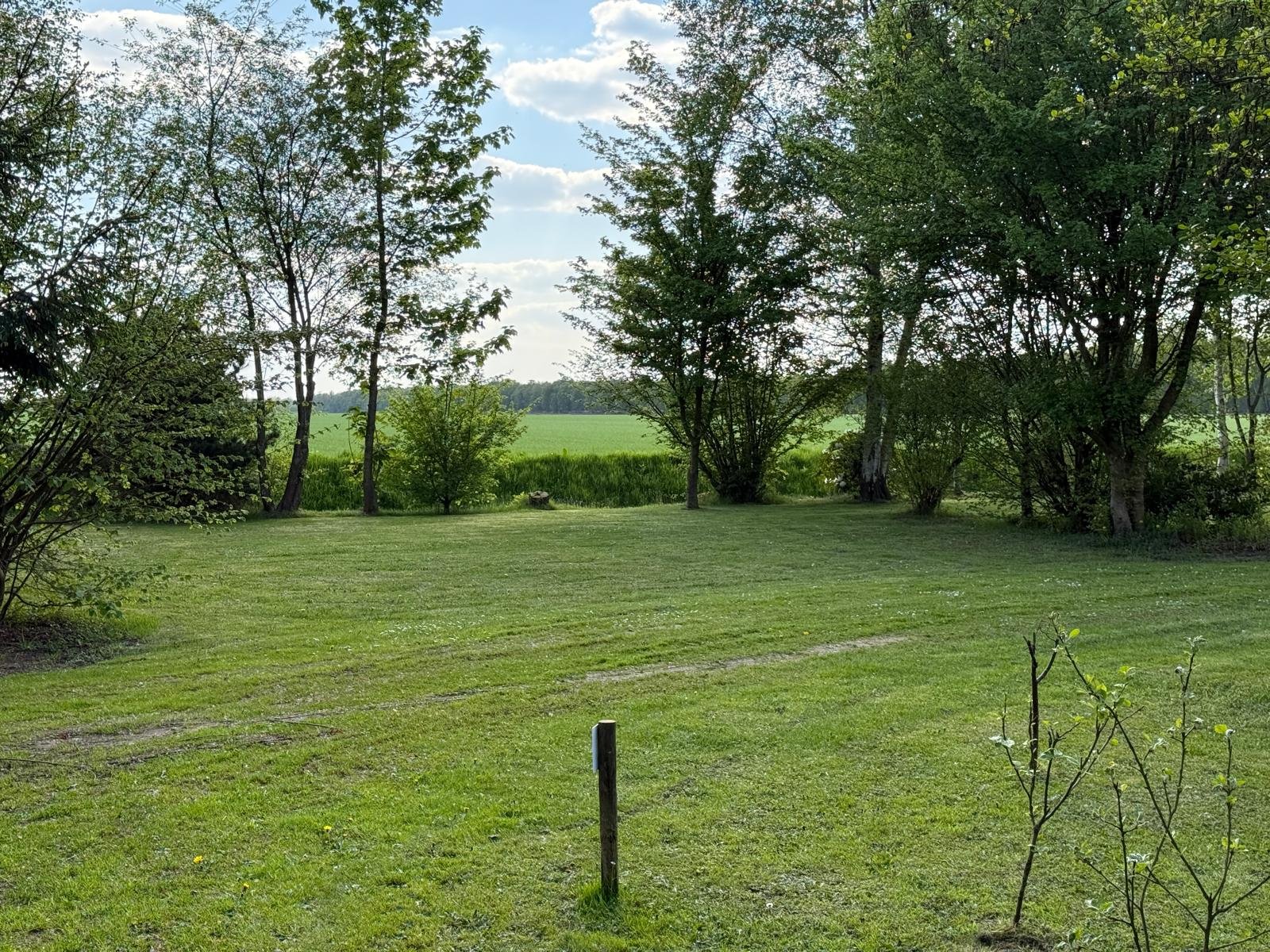 Het Vogelbos — Kamp alanı in Erica