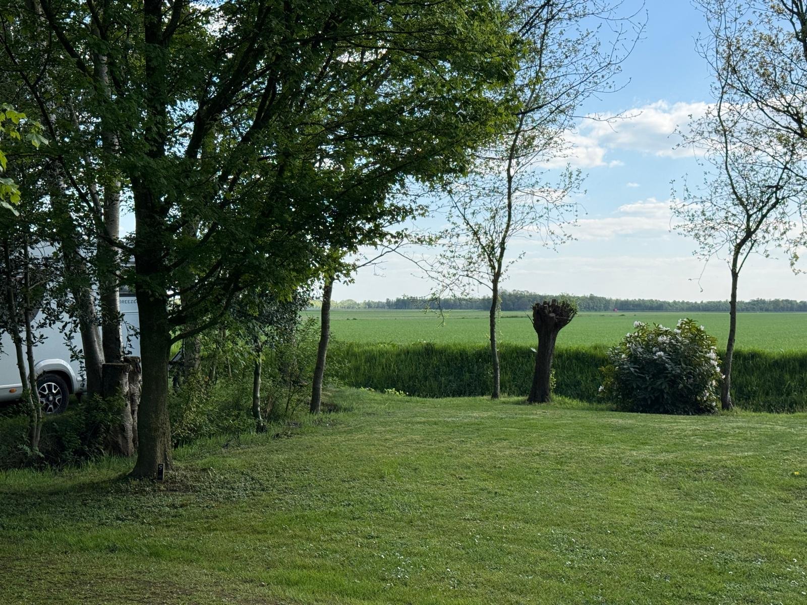 Het Vogelbos — Photo 3