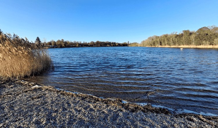 Stellplatz Schœnau — Photo 3