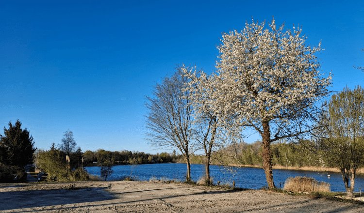 Stellplatz Schœnau — Photo 4