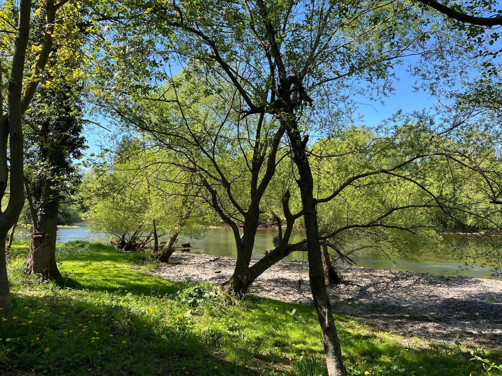 Campingplatz Ideal — Campsite in Edertal