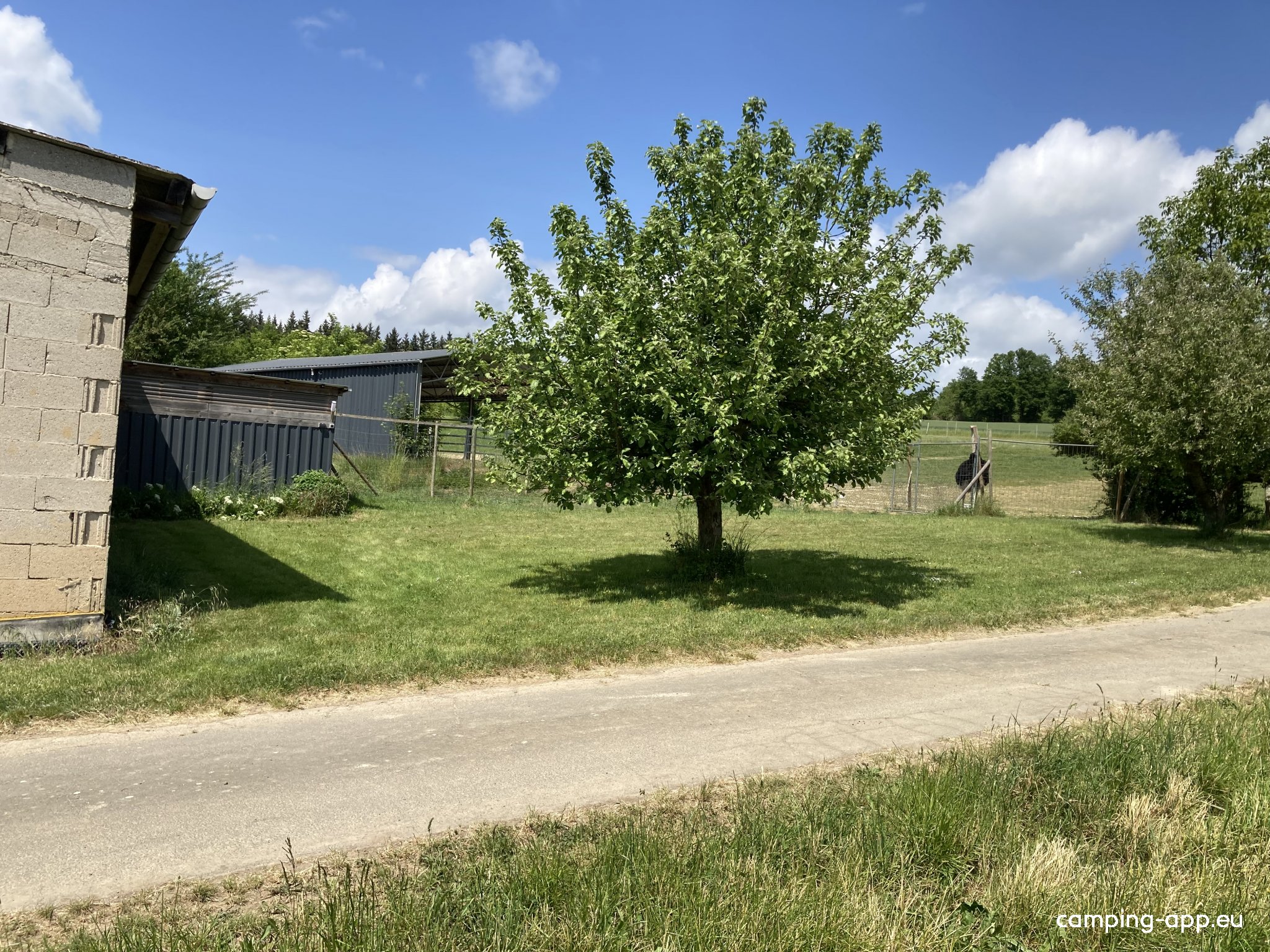 Stellplatz 2 Straußenfarm