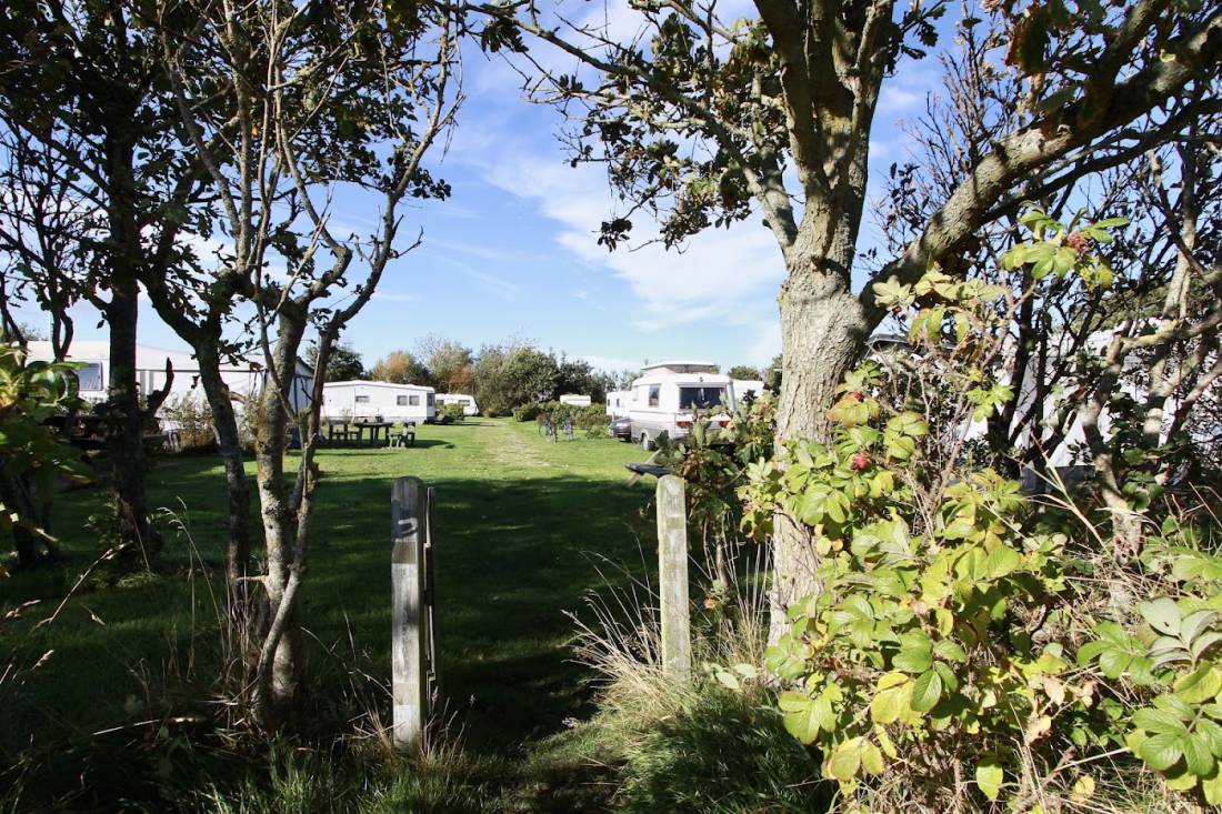 Mandø Brugs & Camping — Photo 3