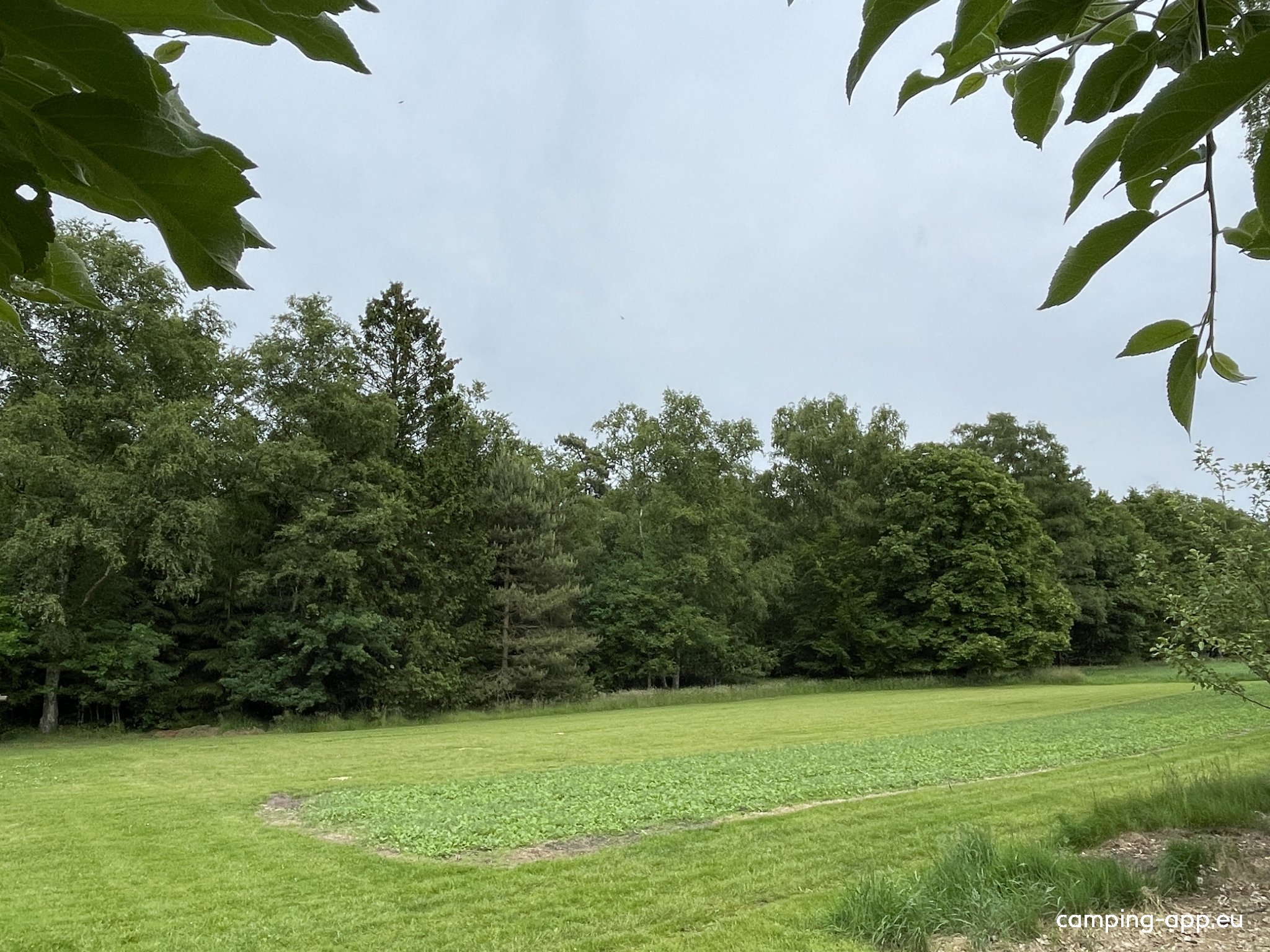 Stellplatz am Birkensee — Photo 3