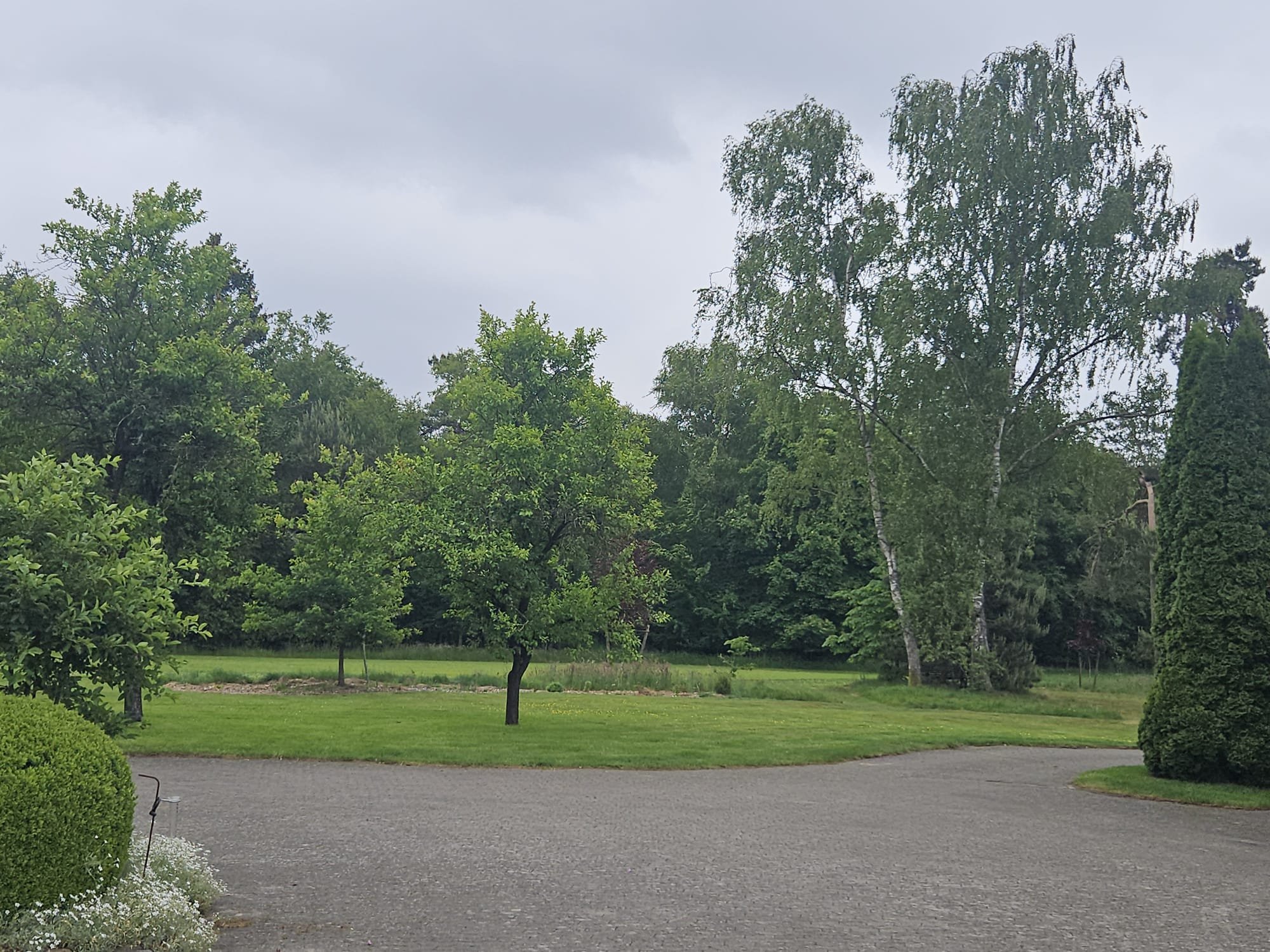 Stellplatz am Birkensee — Photo 2