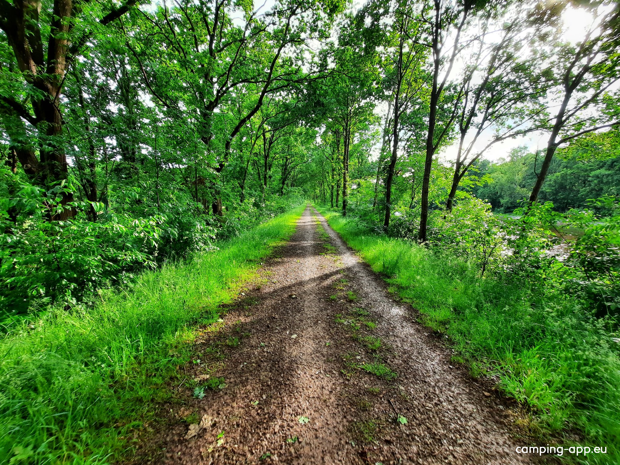 Camping Dörpen — Photo 6