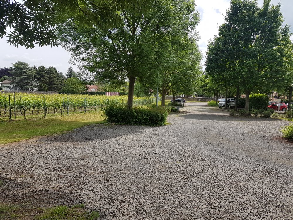 Stellplatz am Nickelgarten Westhofen — Photo 3