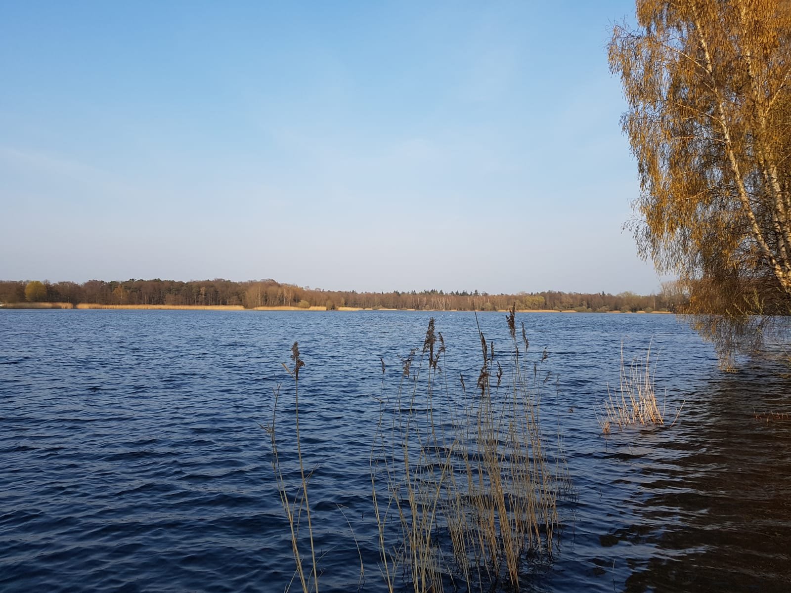 Freizeitpark Kronensee