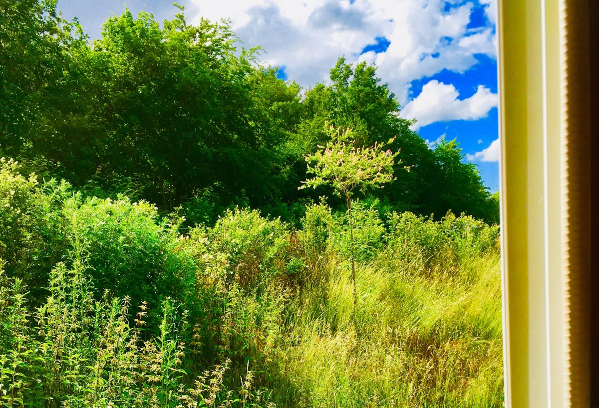 Wohnmobilstellplatz Nordkirchen — Photo 4