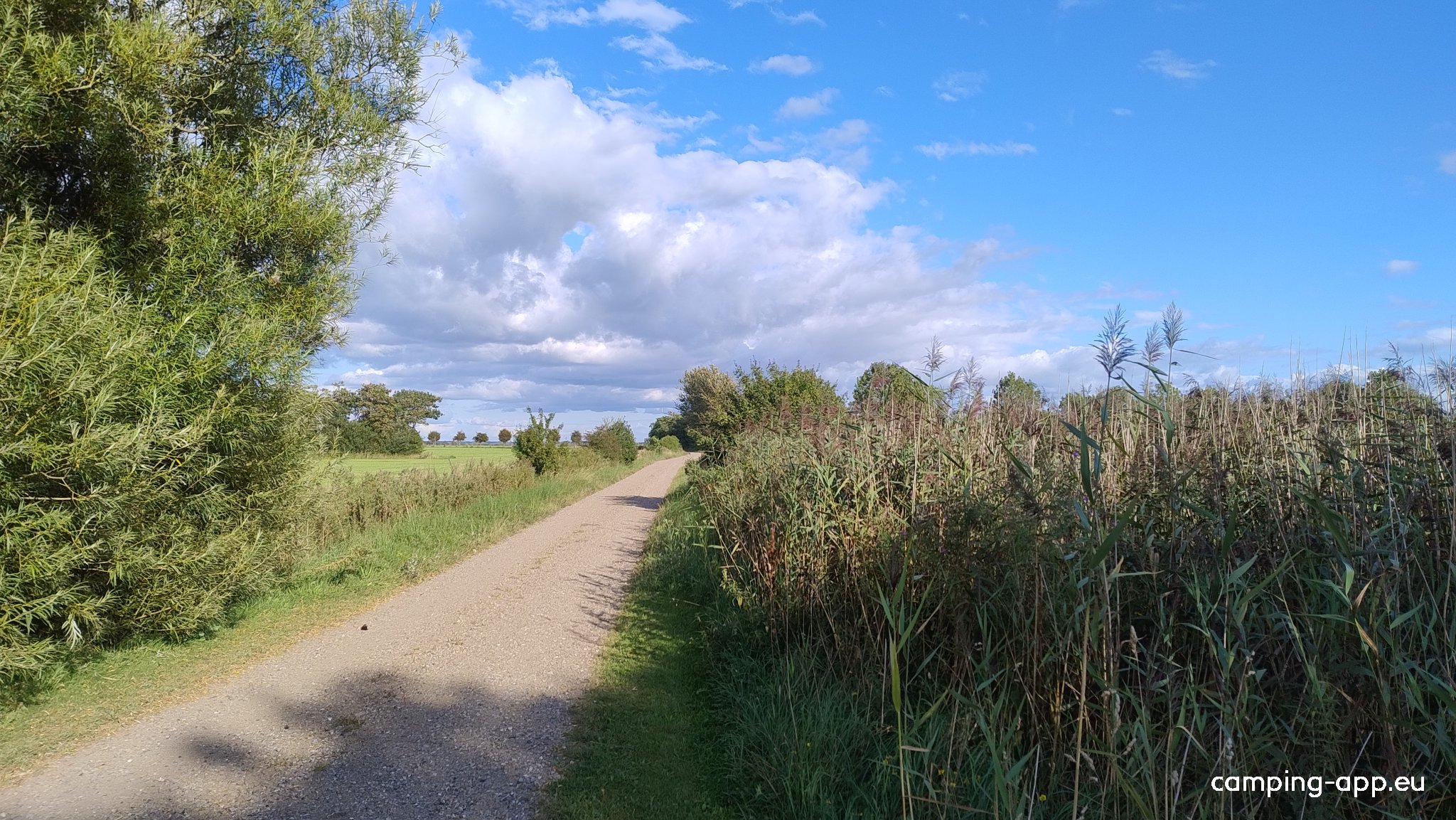 Café Gammelby — Photo 5