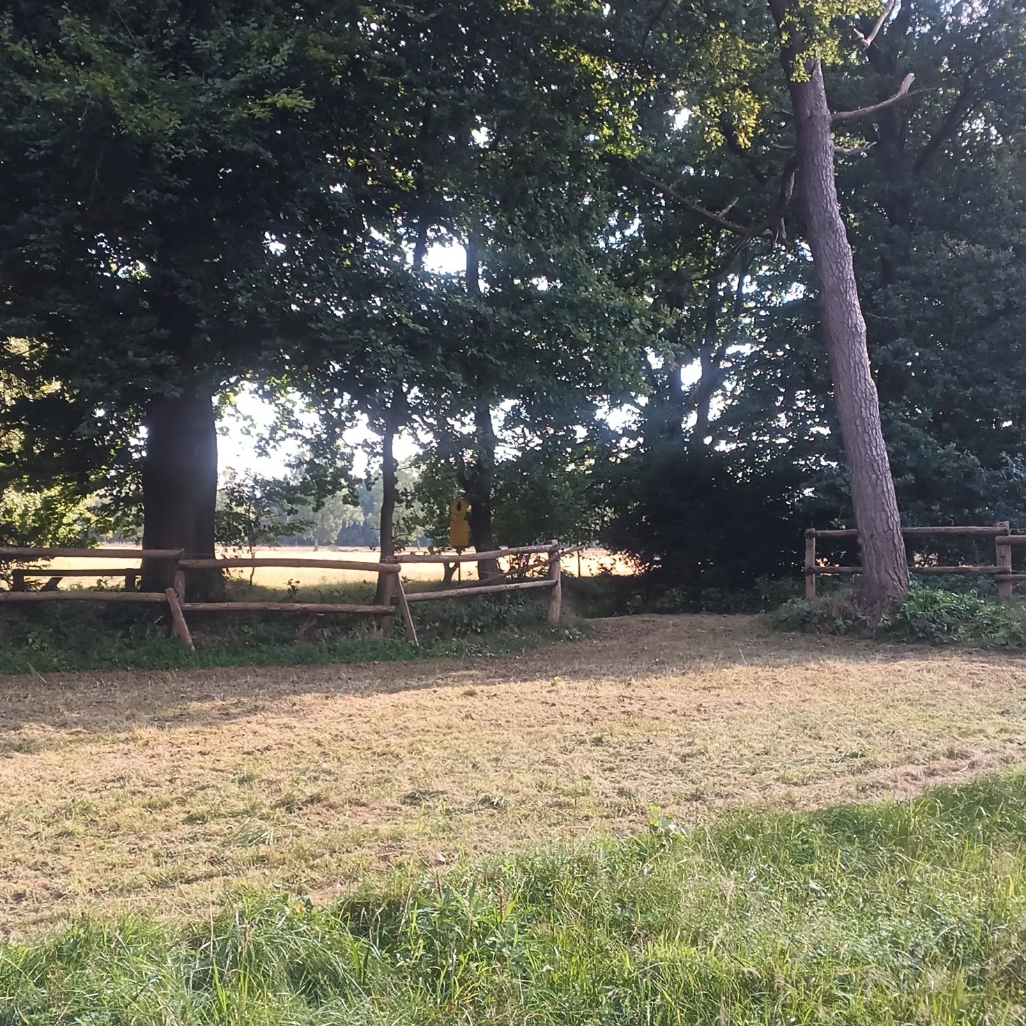 Naturidylle Barker Heide/Segeberger Forst — Photo 2