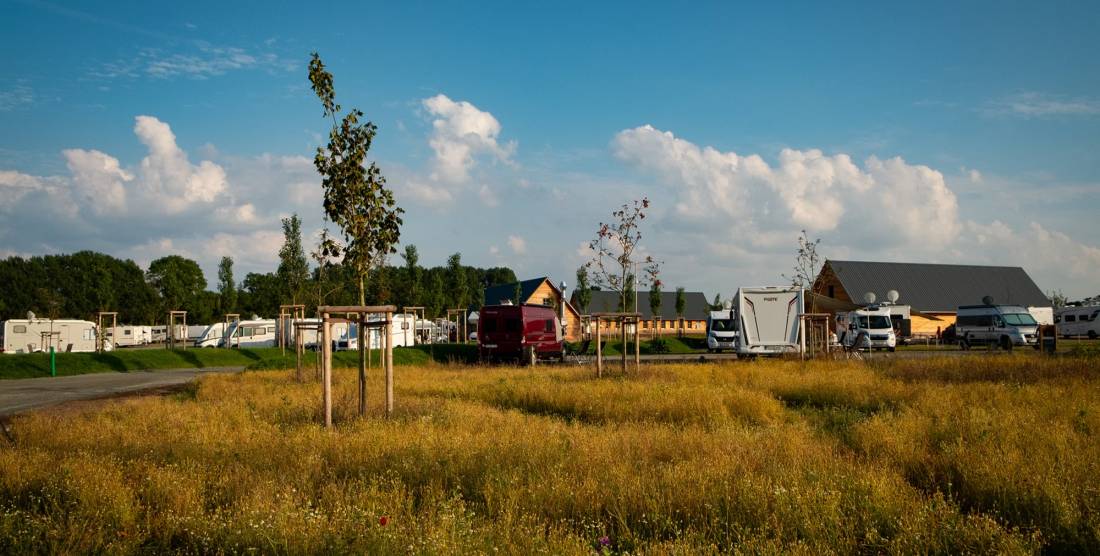 Gut Damp Dorotheenpark — Photo 4