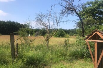 Kanuhof Zur Ems — Photo 3