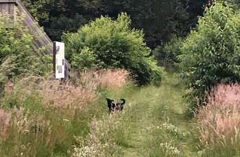 Kanuhof Zur Ems — Photo 4