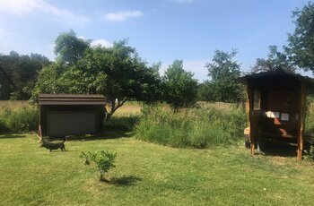 Kanuhof Zur Ems — Photo 6