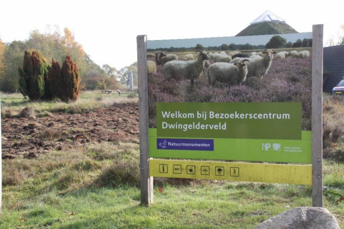 Camping OldenDiever — Photo 3