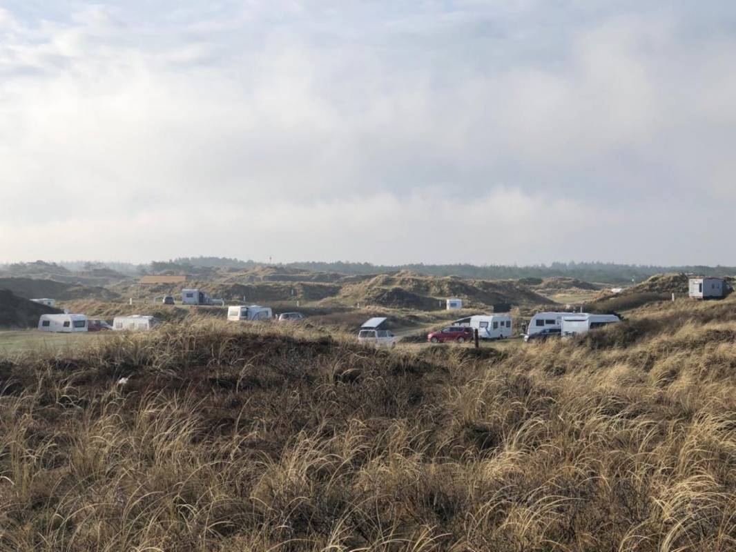 Vejers Strand Camping — Photo 5