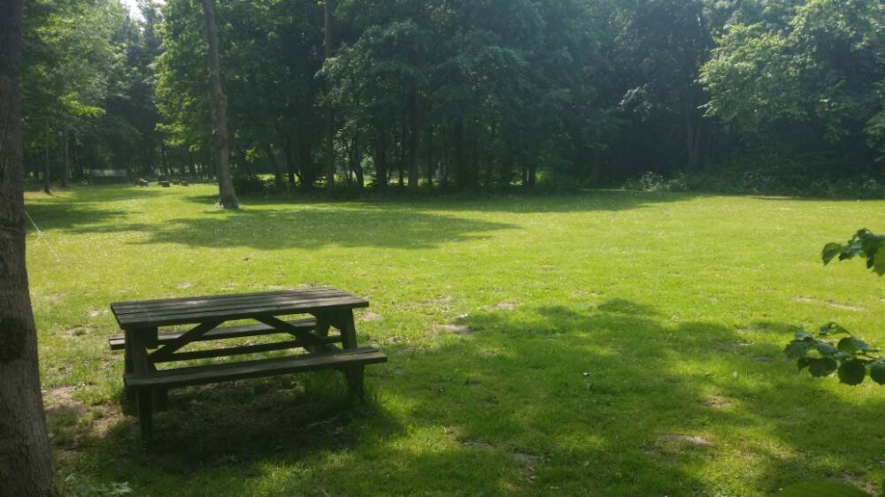 Camping de Leenstertillen — Photo 5