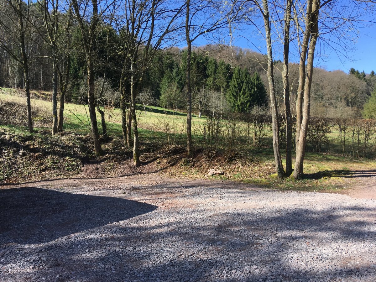 Wohnmobilstellplatz am Silzer See — Photo 2