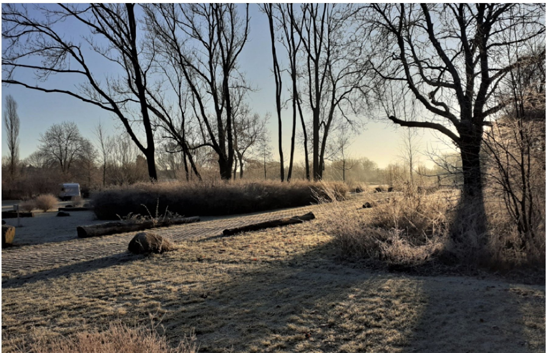 Wohnmobilpark Stadtbad Okeraue — Photo 5