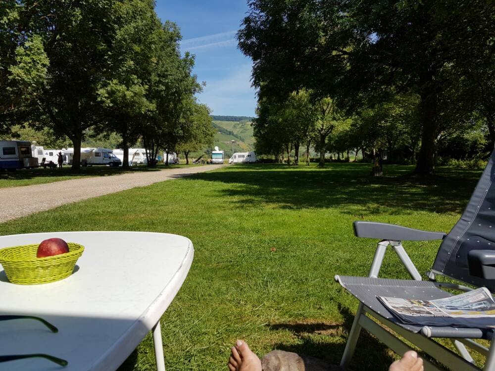 Mosel Stellplatz Wintrich
