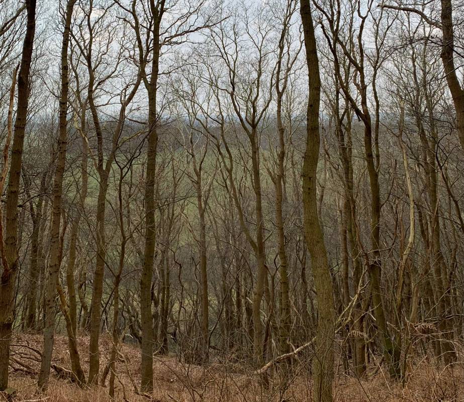 Hohenkamp Camping — Photo 3