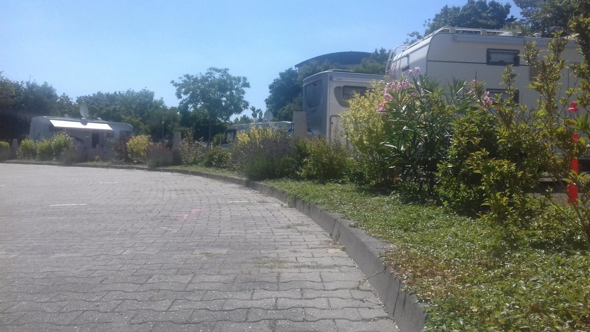 Stellplatz Mainz — Photo 3