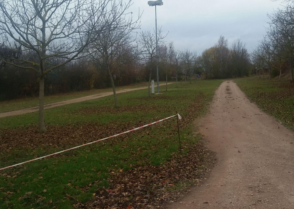 Stellplatz  Napleonshöhe 