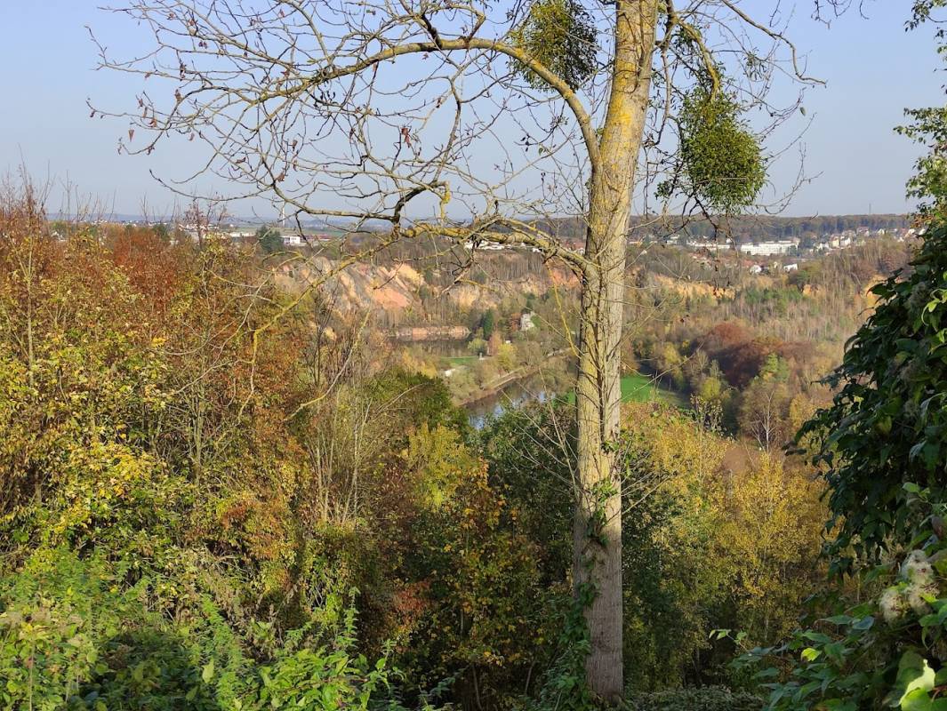 Stellplatz an der Lahnblickhalle Altendiez — Photo 2