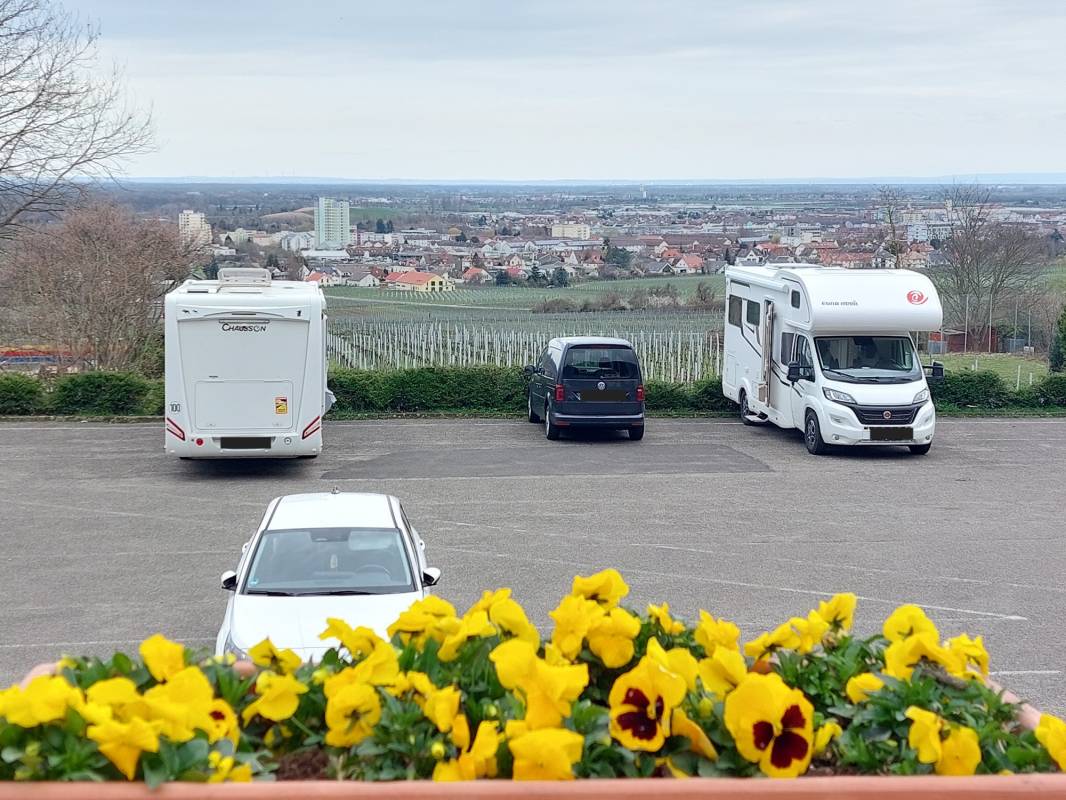 Übernachtungsparkplatz Neustadt an der weinstraße — Photo 3