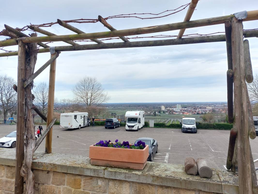 Übernachtungsparkplatz Neustadt an der weinstraße — Photo 4