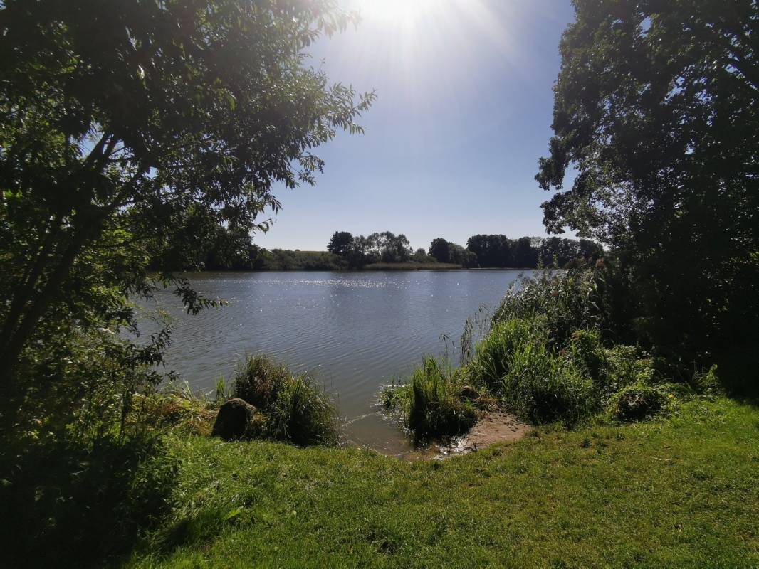 WoMo Stellplatz Sörup — Photo 6