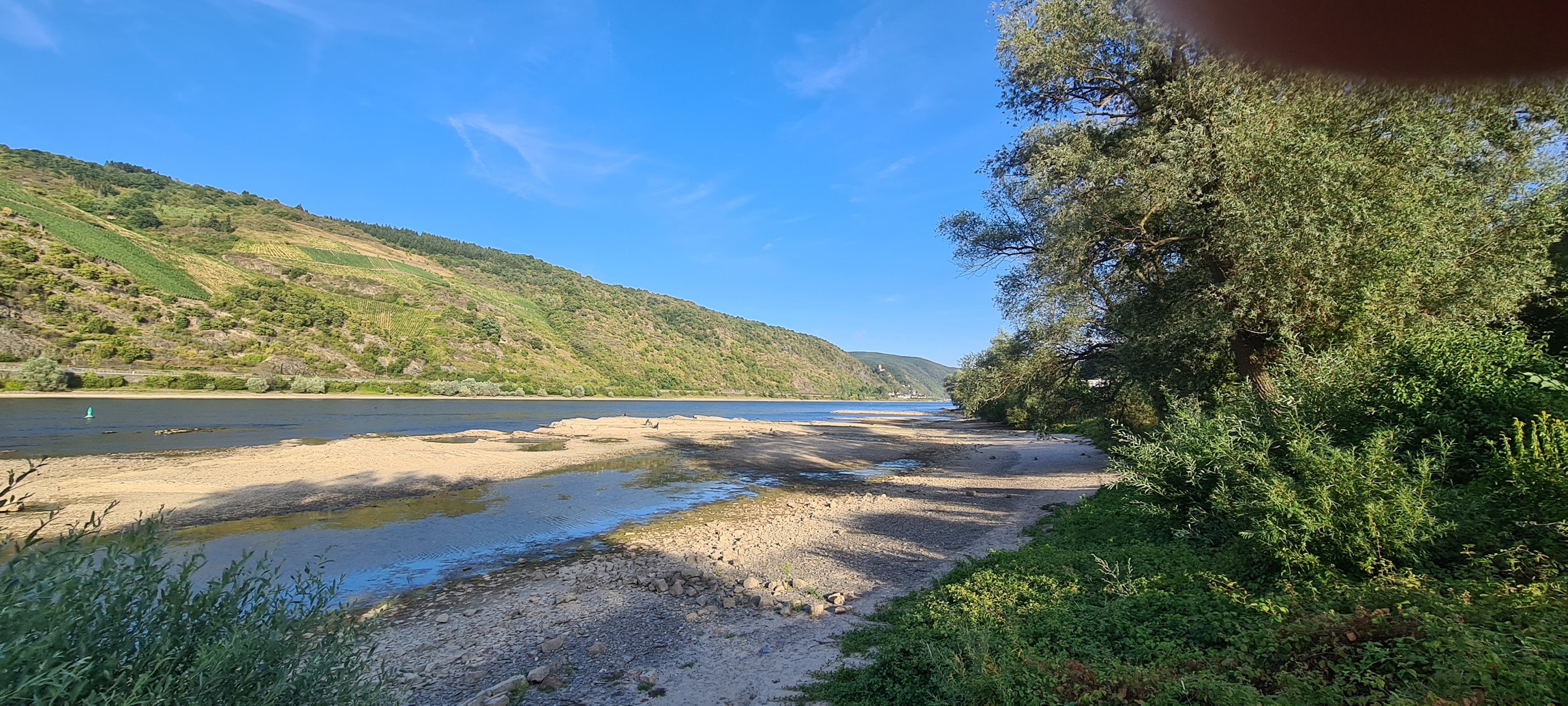 Campingplatz Oberwesel — Photo 5