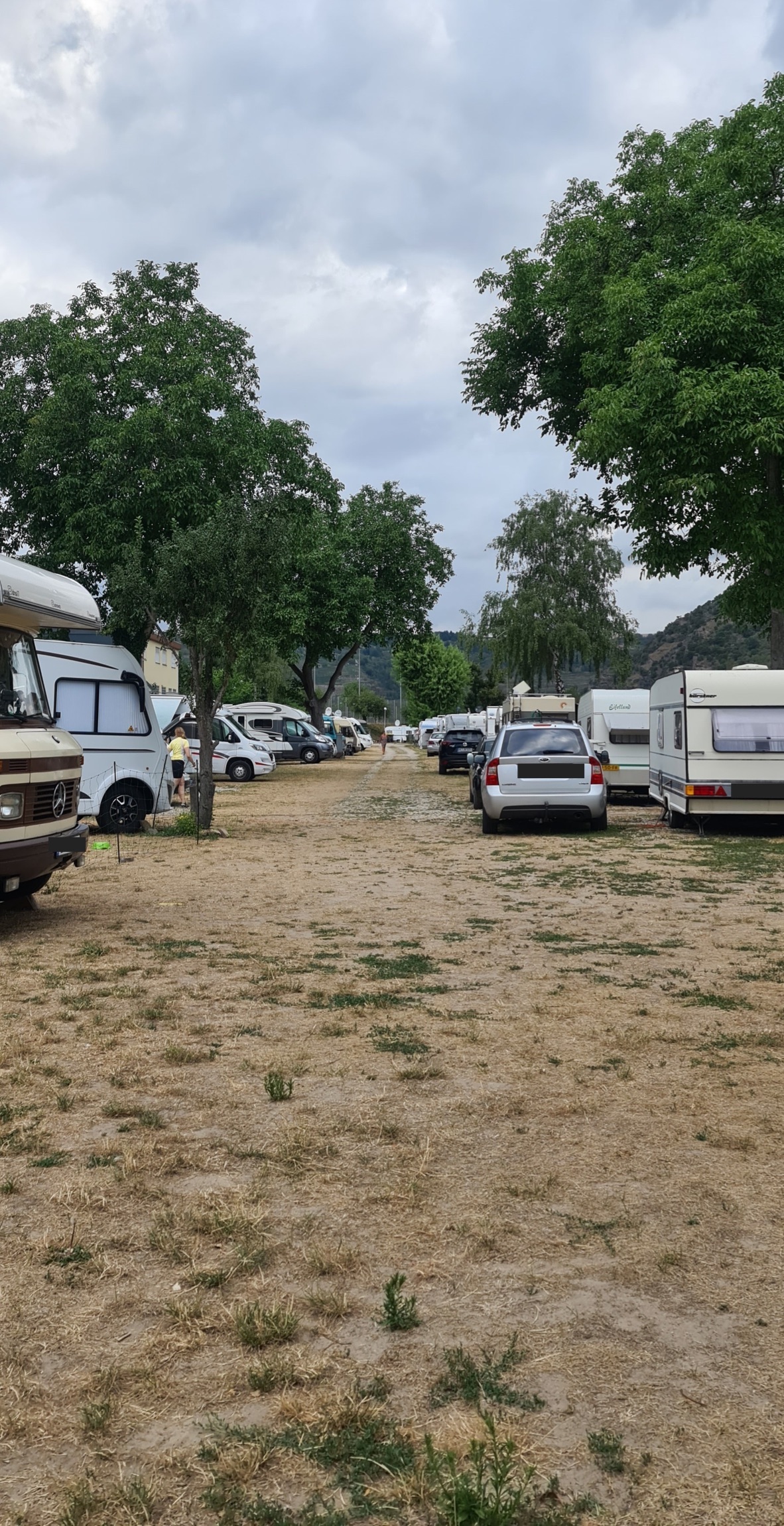 Campingplatz Oberwesel — Photo 6