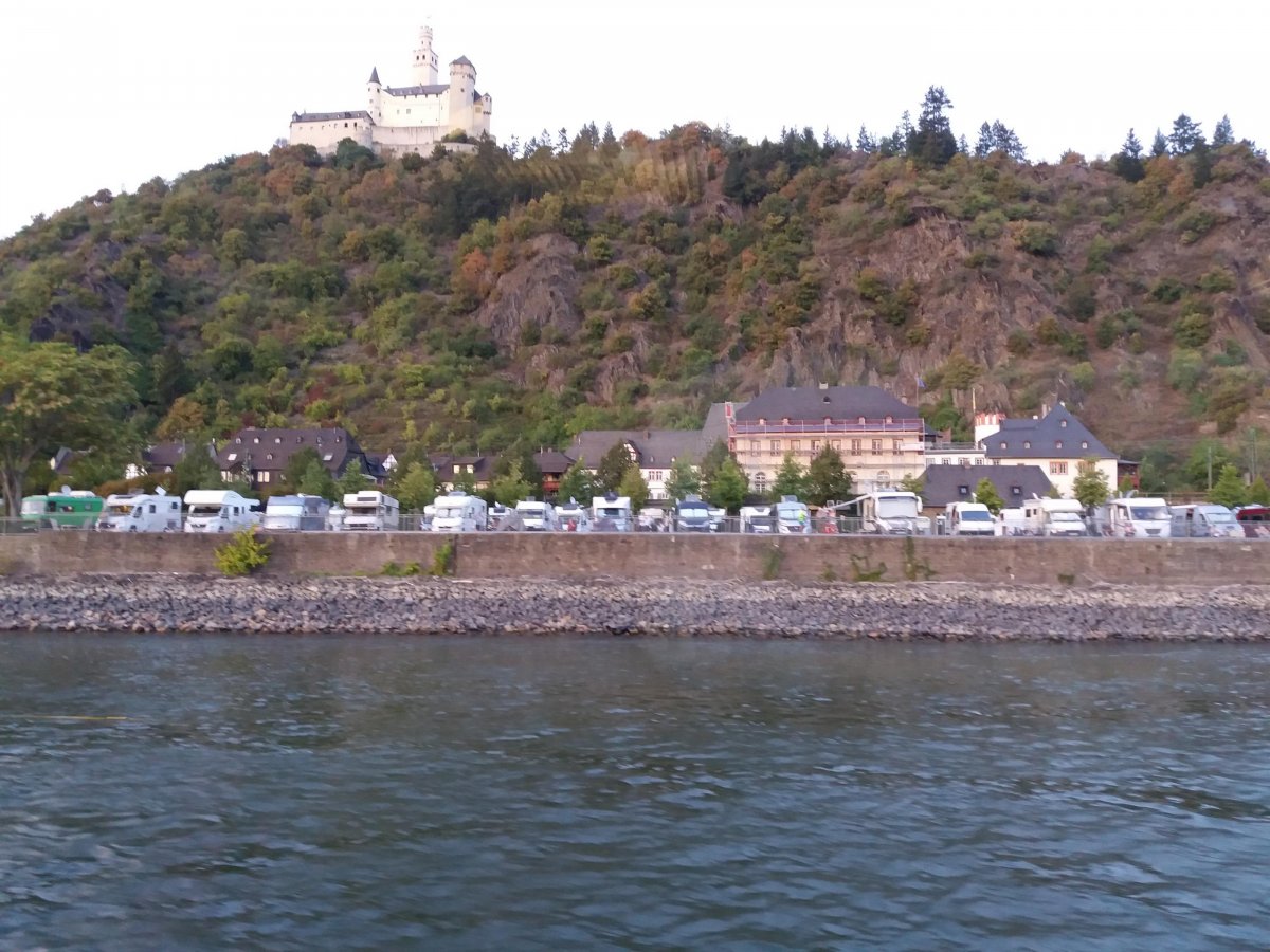 Stellplatz am Rheinufer Braubach — Photo 6