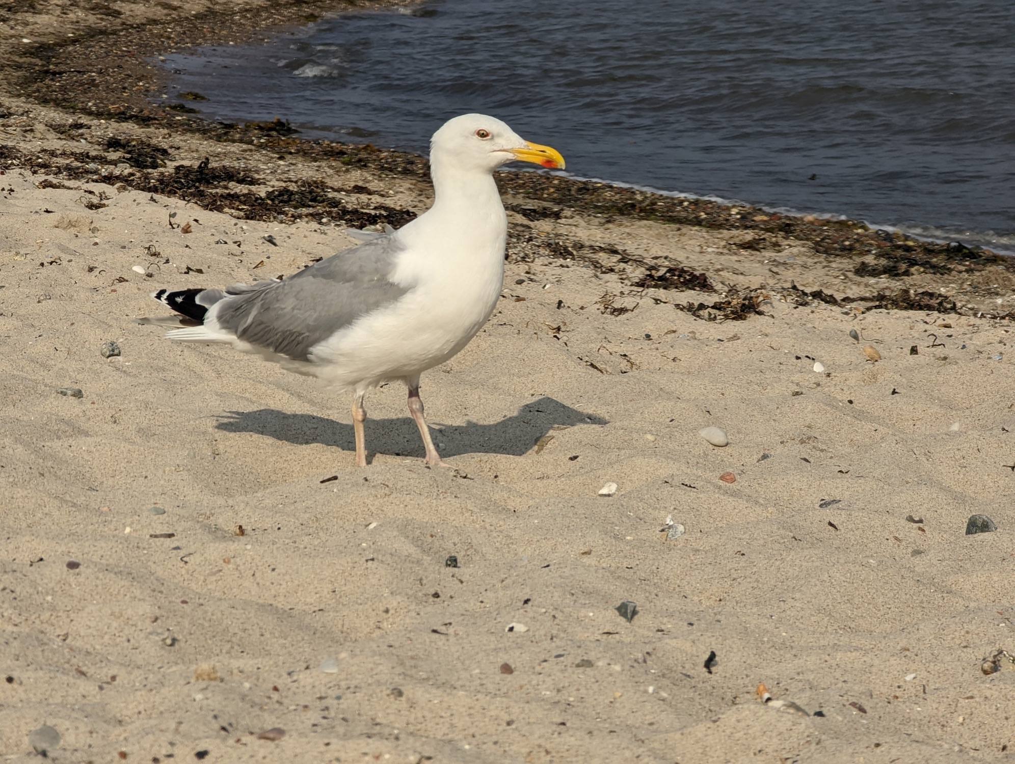 Ostsee-Camping Gut Ludwigsburg — Photo 6