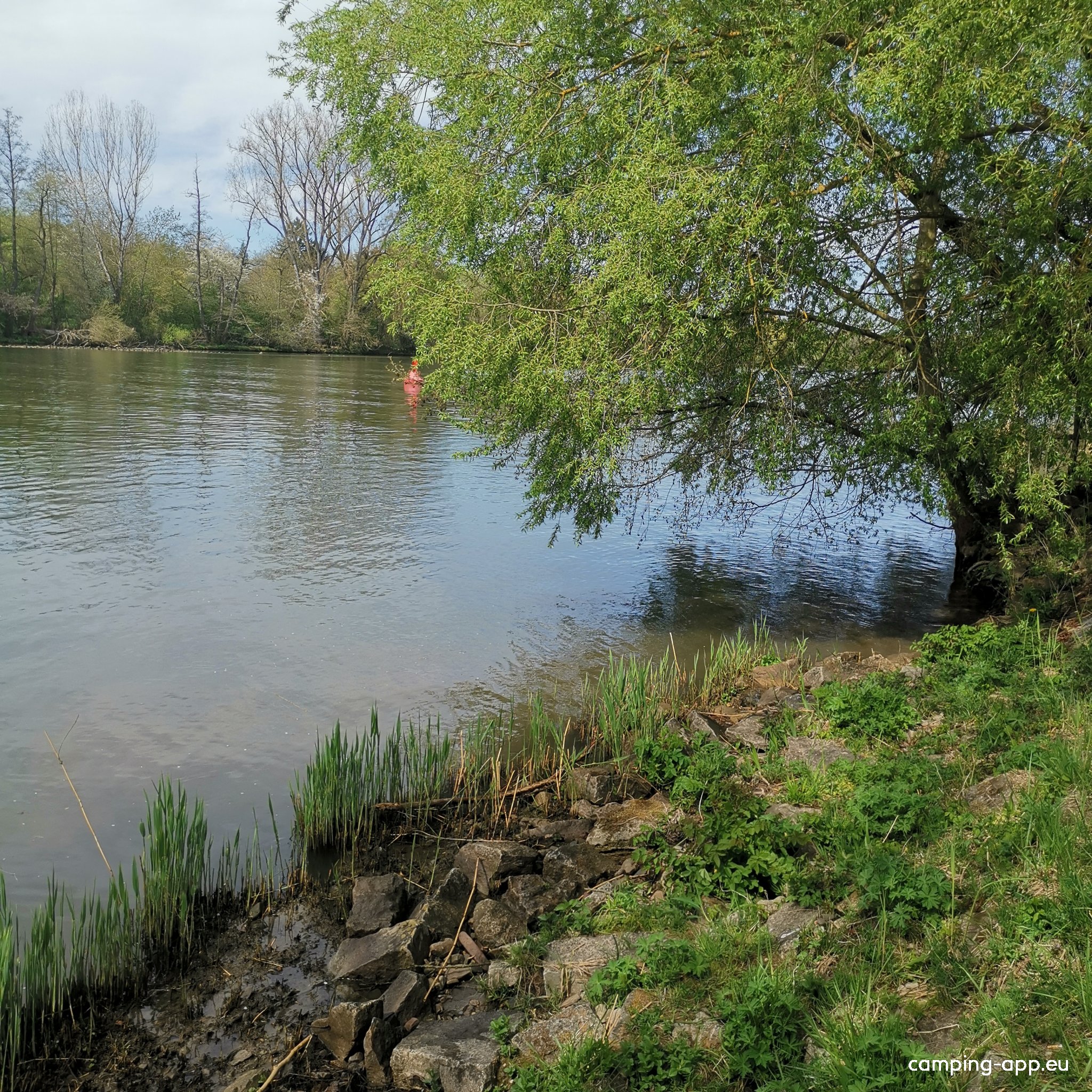 Thüngersheim — Photo 6